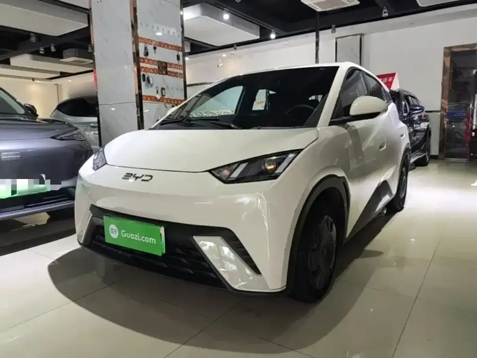 BYD Seagull Glory Edition 305km Vitality Edition 2024