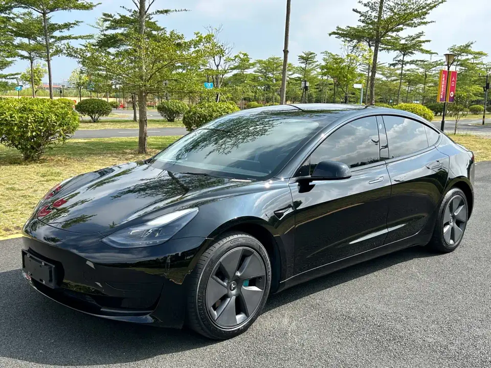 Tesla Model 3 Standard Range Rear-Wheel Drive Upgrade 3D6 2021