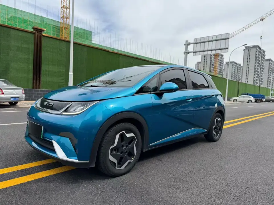 BYD Dolphin Model 405km Fashion Edition 2022