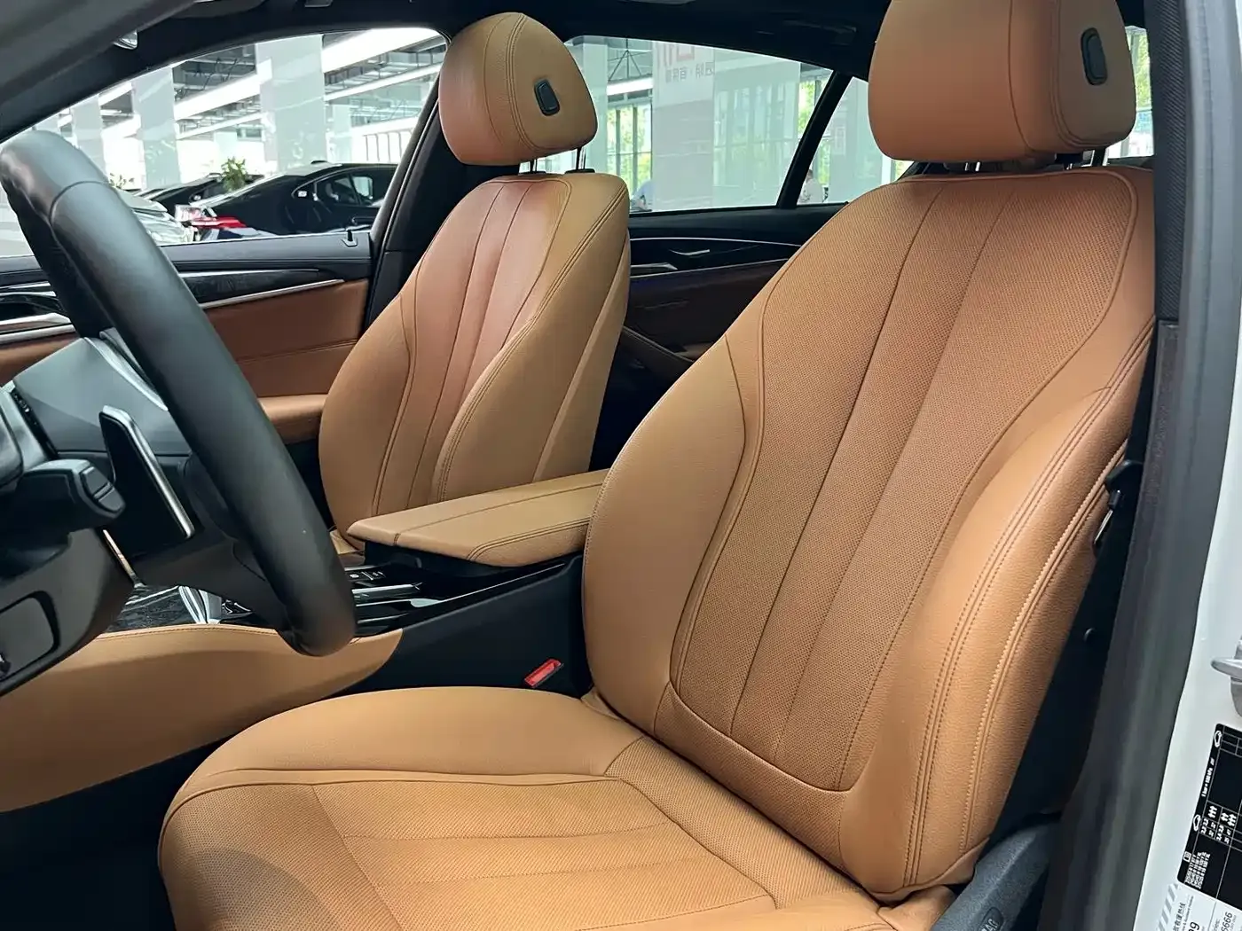 BMW 5 Series 530Li Exclusive M Sport Package 2020 — фото 9