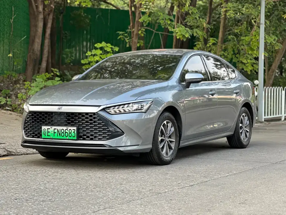 BYD Qin PLUS Glory Edition DM-i 55KM Leading 2024
