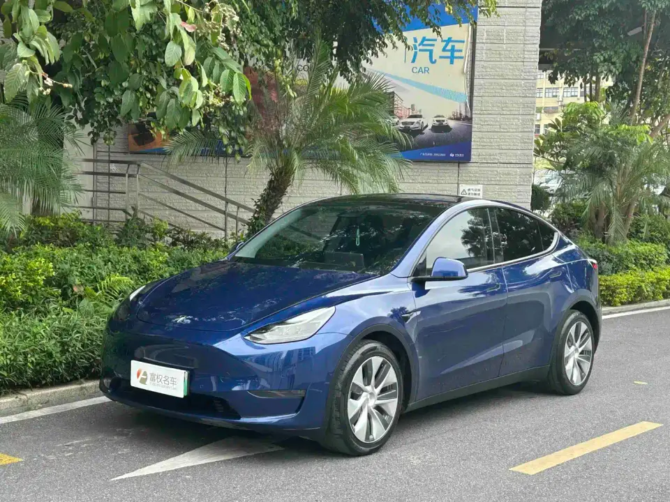 Tesla Model Y Model Long Range AWD 2021