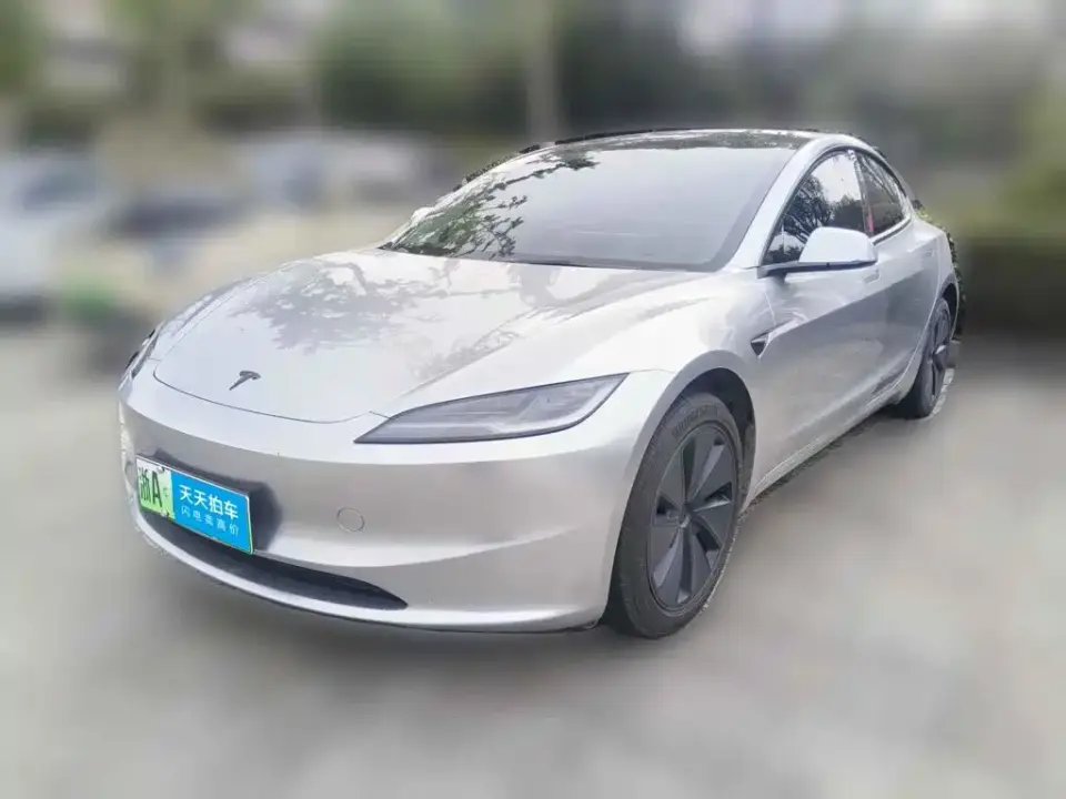 Tesla Model 3 Model Rear-Wheel Drive Edition 2025