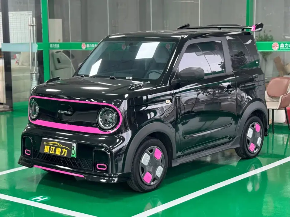 Geely Galaxy Panda Model Year 210km Panda Kart 2025