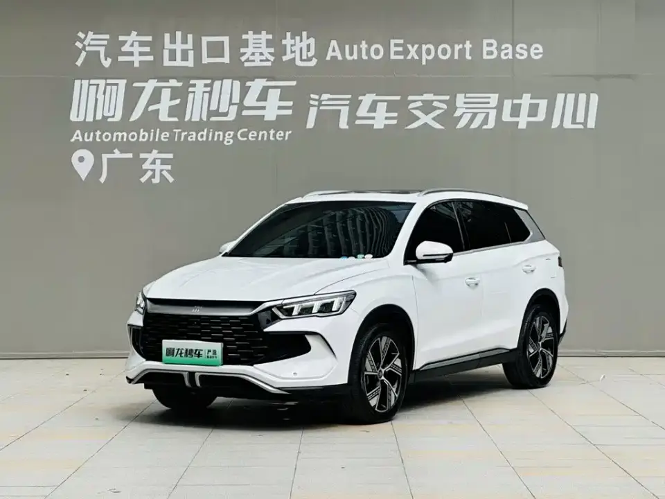BYD Song Pro New Energy Champion Edition DM-i 110KM Excellence 2024