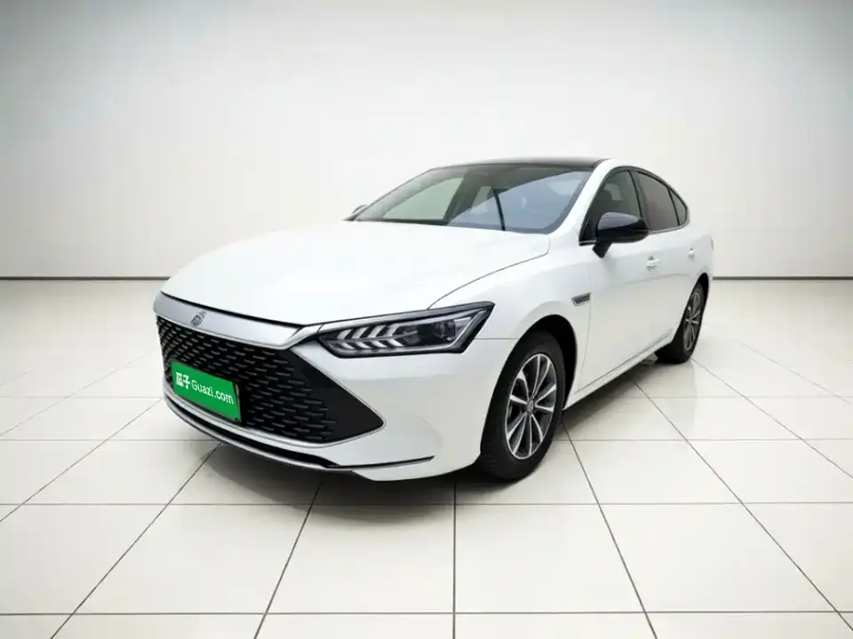 BYD Qin PLUS Champion Edition DM-i 55KM Leading 2024