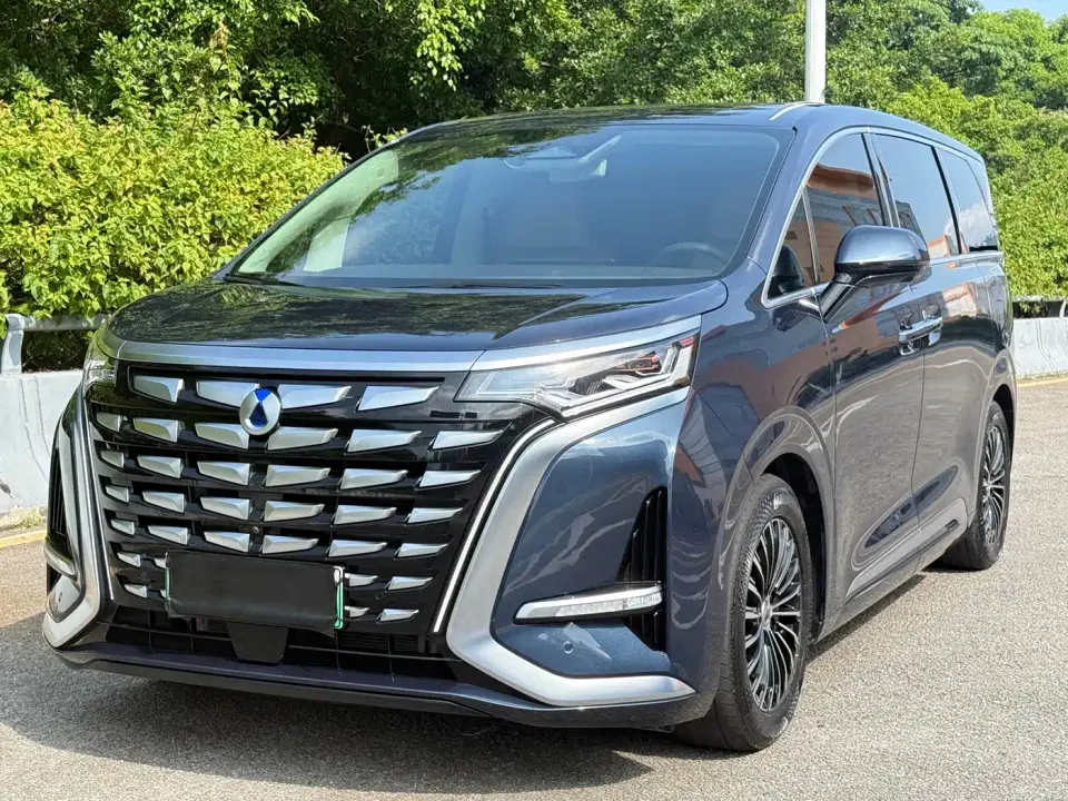 Denza D9 DM-i 980 AWD Flagship 2024