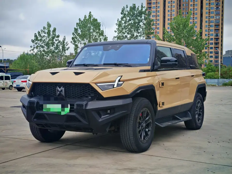 Mengshi 917 Pure Electric Basic Edition 2024