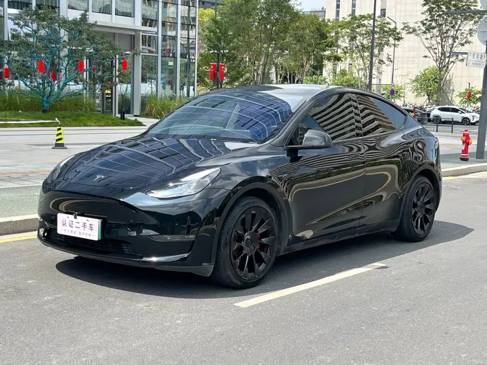 Tesla Model Y Rear-Wheel Drive Version 2022