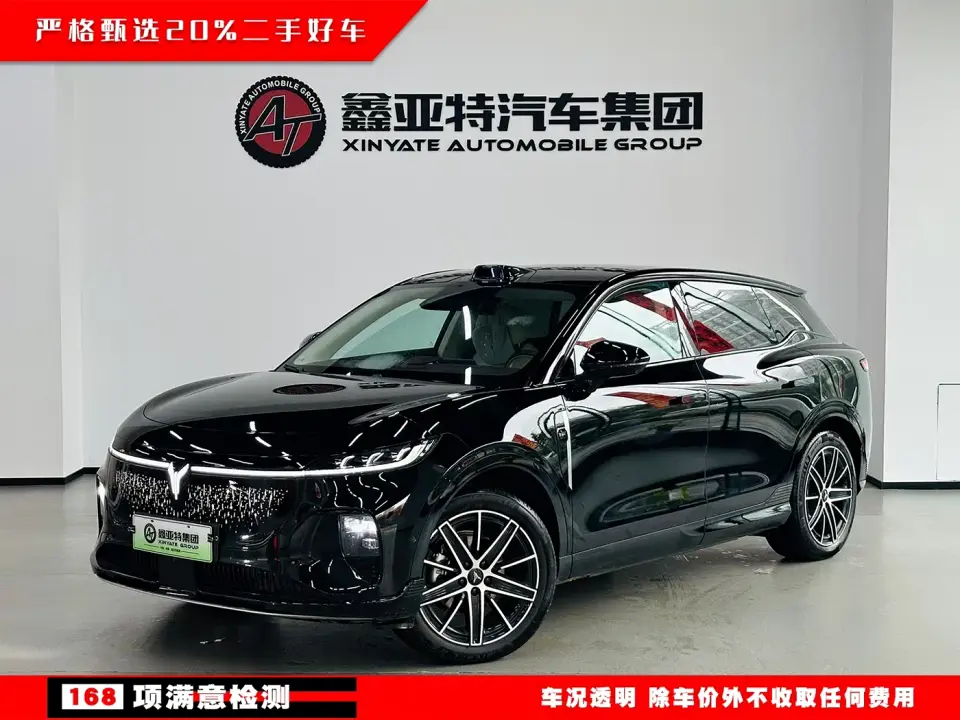 Voyah Auto Voyah Zhiyin Base 2025