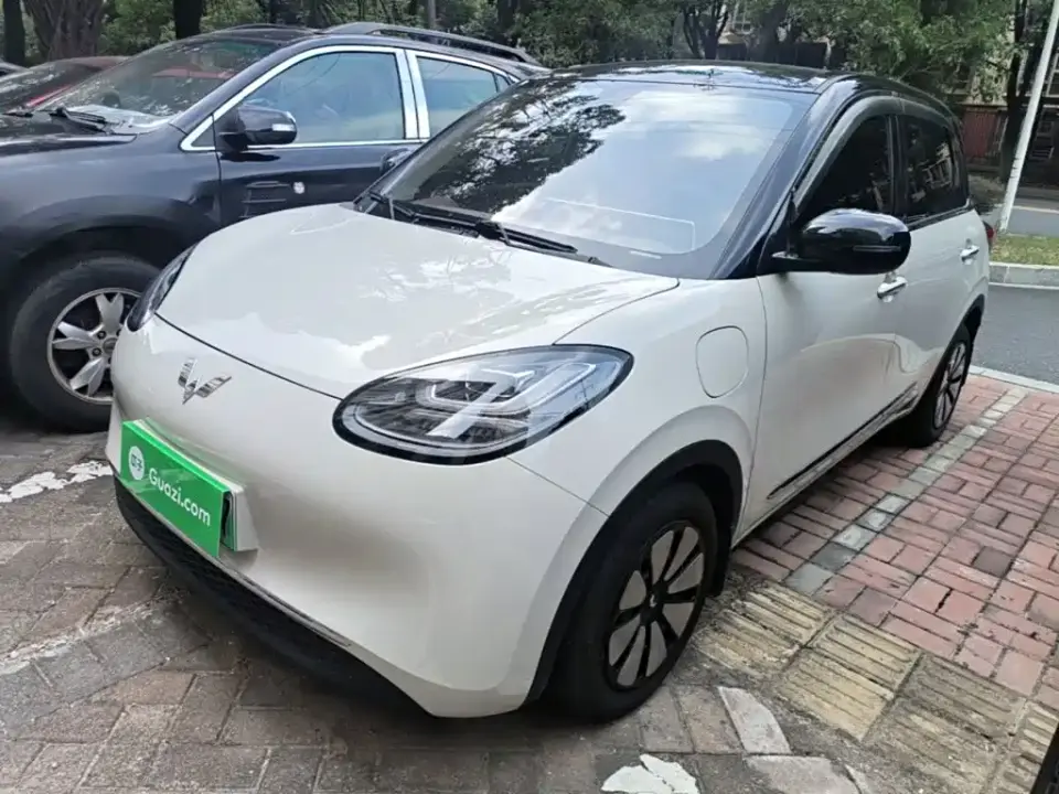 Wuling Motors Wuling Bingo 410km Smart Premium Edition 2024