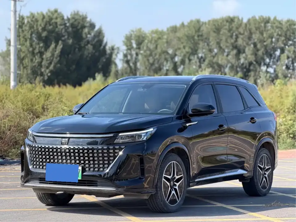 Landian E5 Glory Edition 100KM Premium Type 7-Seater 2024