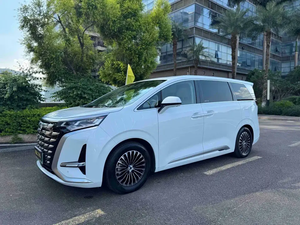 Denza D9 DM-i 1050 Premium 2024