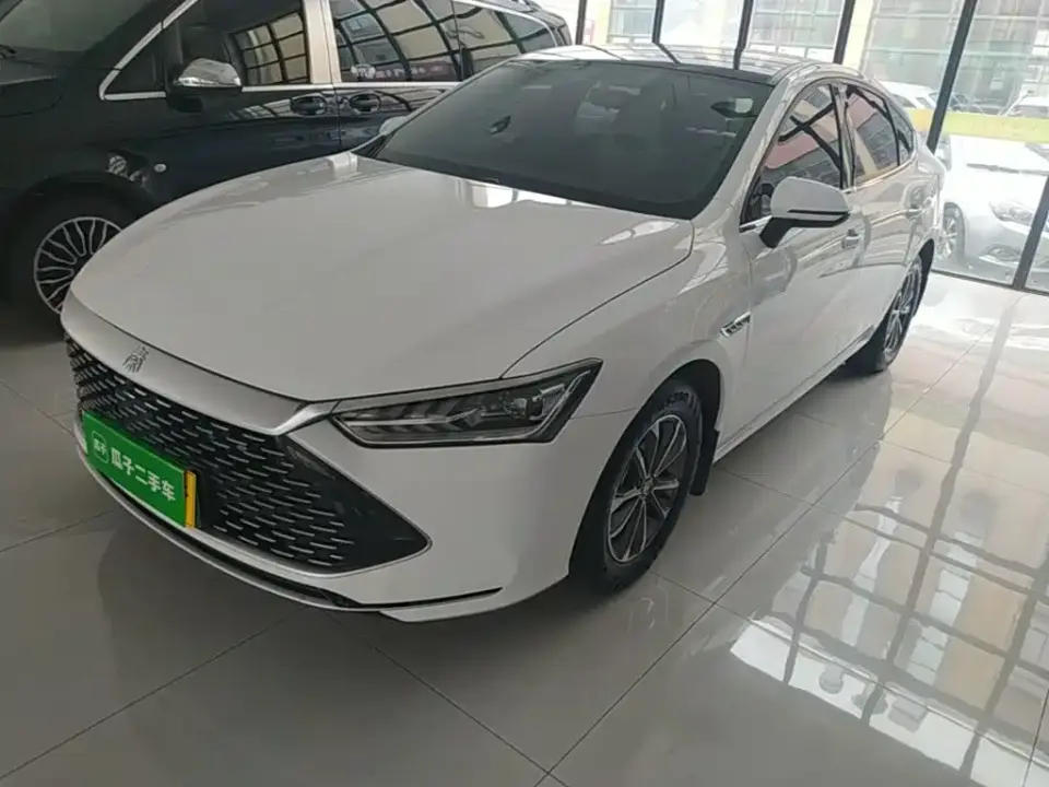 BYD Qin PLUS Glory Edition DM-i 55KM Leading 2024