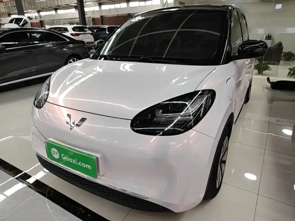 Wuling Motors Wuling Bingo Model 333km Joy+ Version 2024