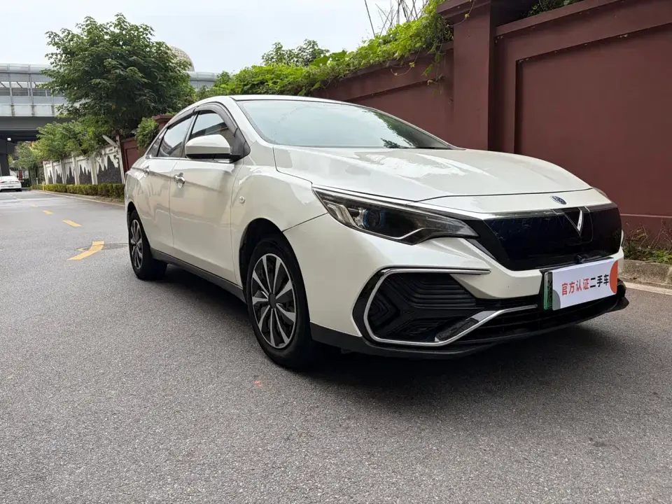 Venucia D60EV Standard Range Premium Edition 2020