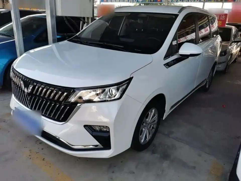 Wuling Motors Wuling Jiachen 1.5T CVT Smart Luxury 2024