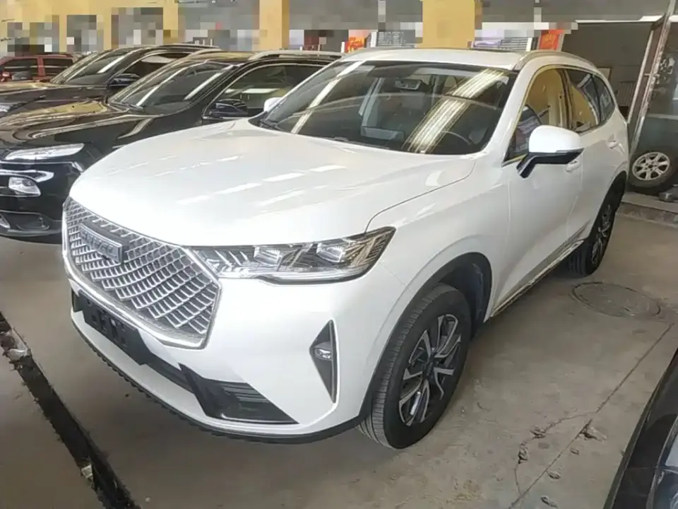 Haval H6 3rd Gen 1.5T Auto 2WD Pro 2023