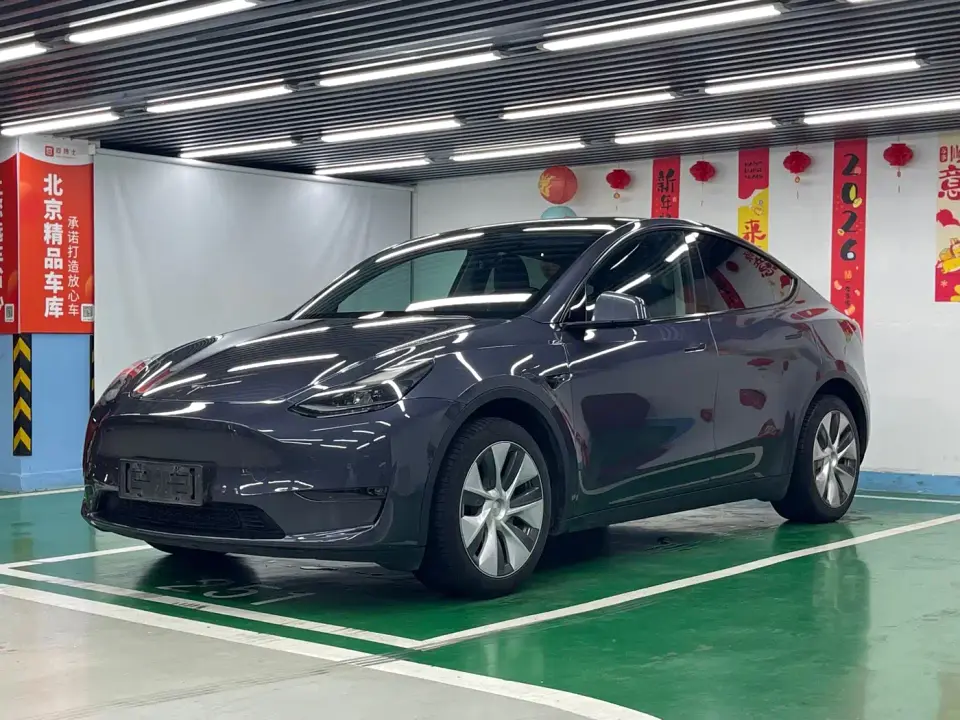 Tesla Model Y Model Long Range AWD 2021