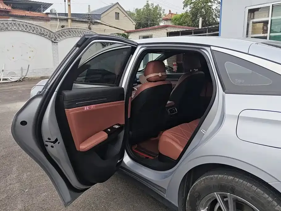 Geely Galaxy Galaxy L6 EM-i 140km Voyage Edition 2025 — фото 11