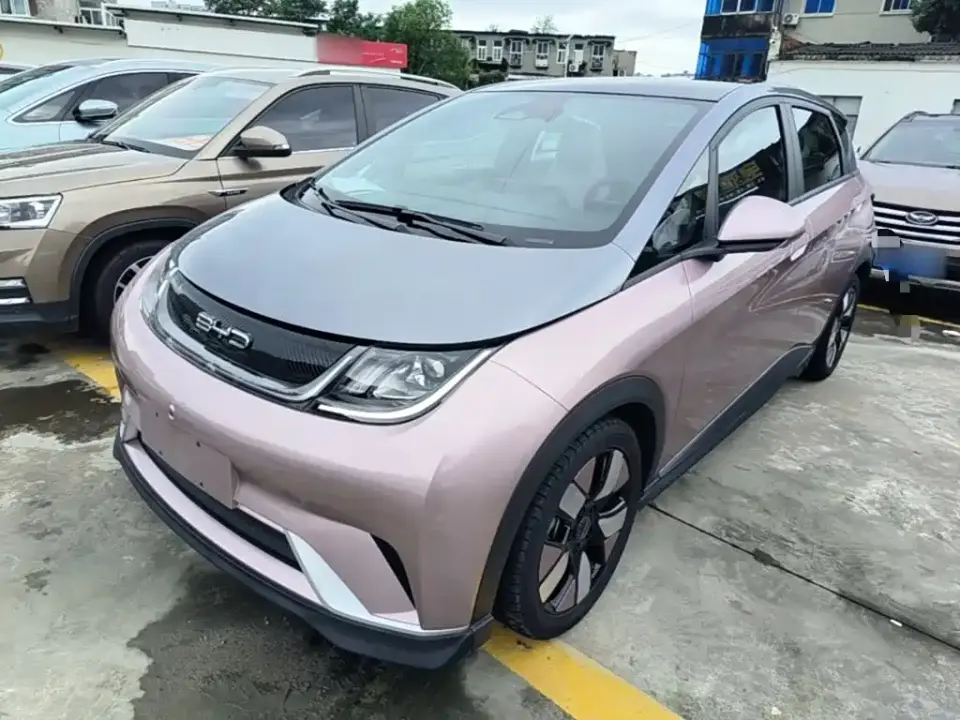 BYD Dolphin 401km Knight Edition 2022