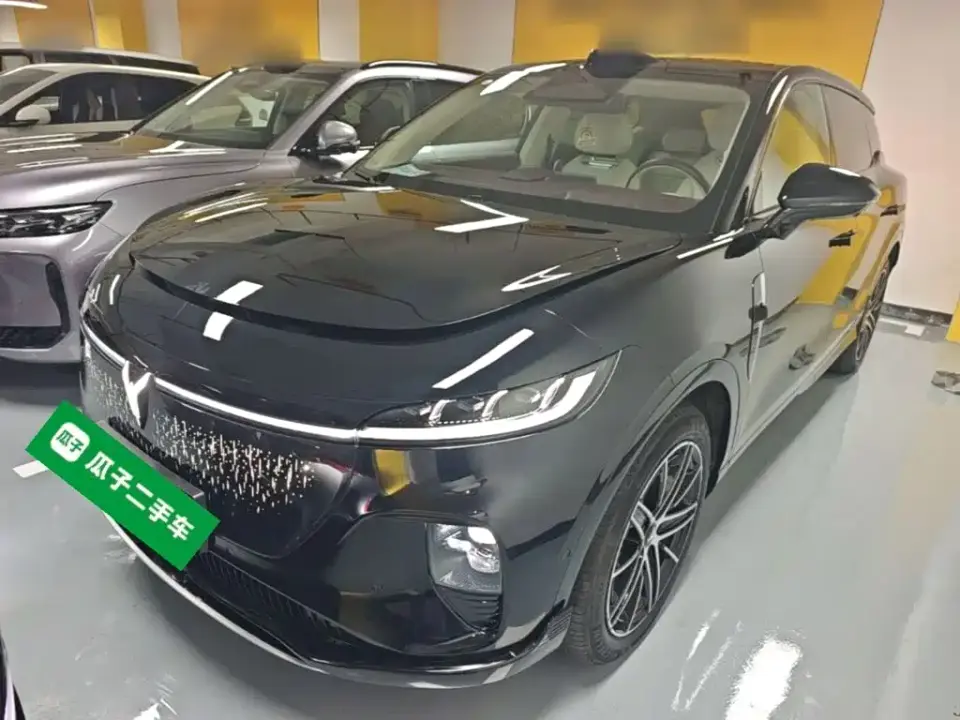 Voyah Auto Voyah Zhiyin Base 2025