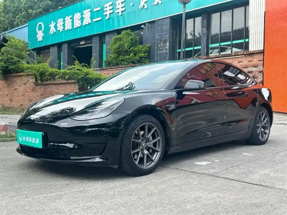 Tesla Model 3 Model Rear-Wheel Drive Version 2022
