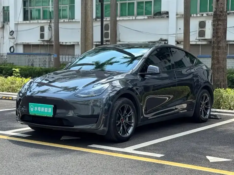 Tesla Model Y Rear-Wheel Drive Version 2024