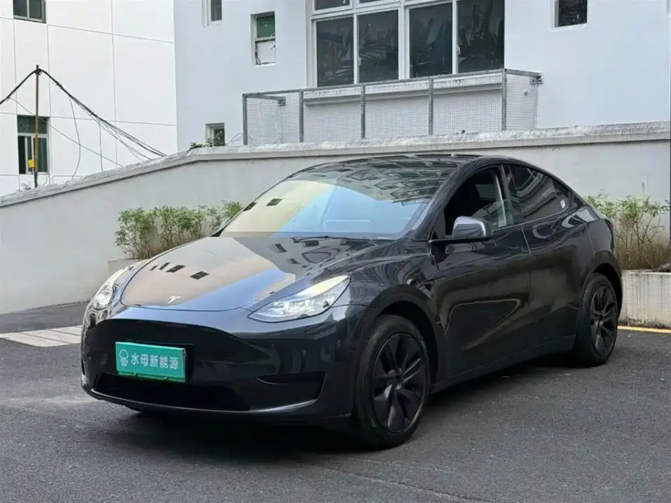 Tesla Model Y Rear-Wheel Drive Version 2024
