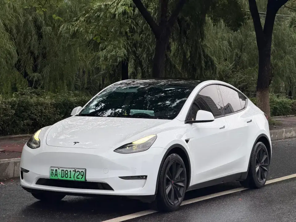 Tesla Model Y Standard Range Rear-Wheel Drive 2021