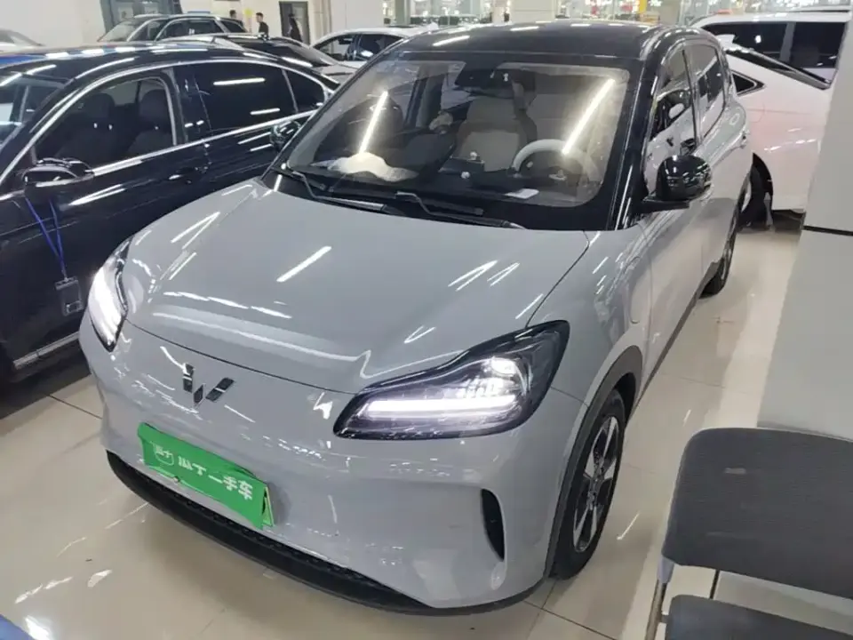 Wuling Motors Wuling Binguo PLUS Model 330km 5-Seater 2025