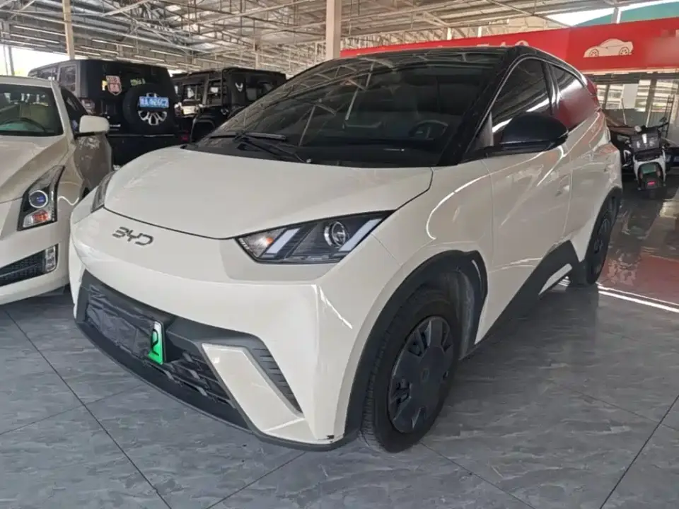 BYD Seagull Glory Edition 305km Freedom Edition 2024