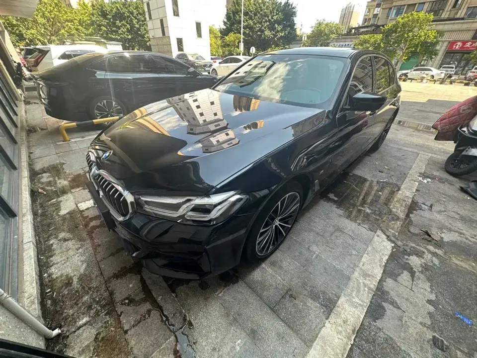 BMW 5 Series 530Li Leading M Sport Package 2021