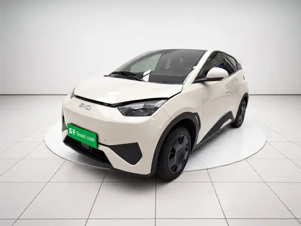 BYD Seagull Smart Drive Edition 305km Vitality Version 2025