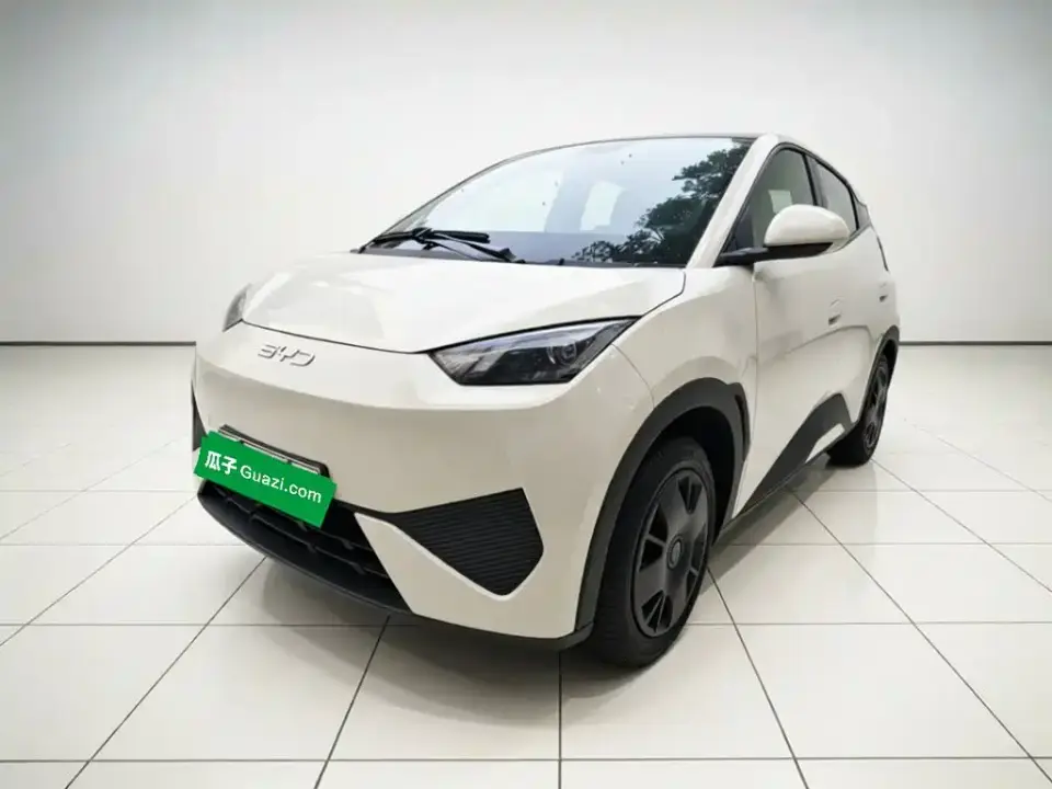 BYD Seagull 305km Vitality 2025