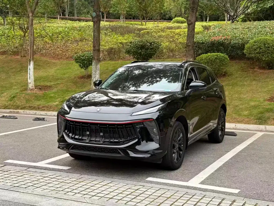 Dongfeng Fengxing Fengxing T5 EVO 1.5TD DCT Glory Edition 2022