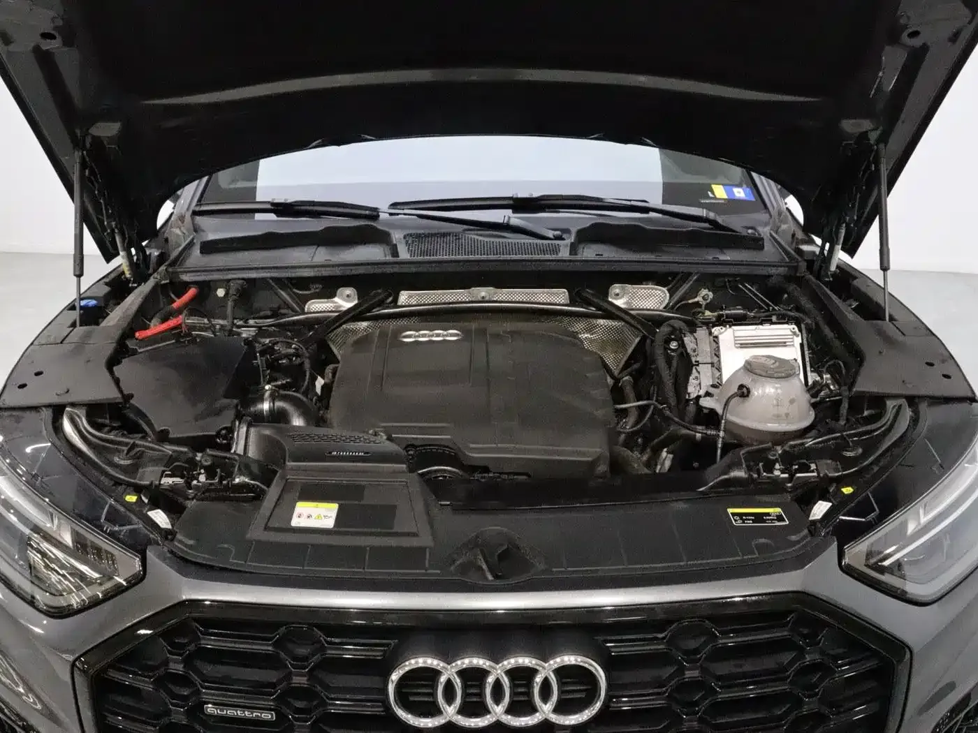 Audi Q5L Model 40 TFSI Luxury Dynamic 2024 — фото 20