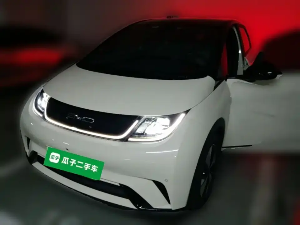 BYD Dolphin 420km Fashion Edition 2023