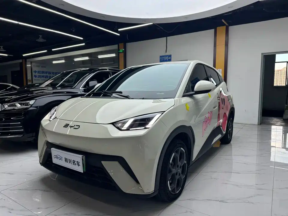 BYD Seagull 305km Freedom 2024