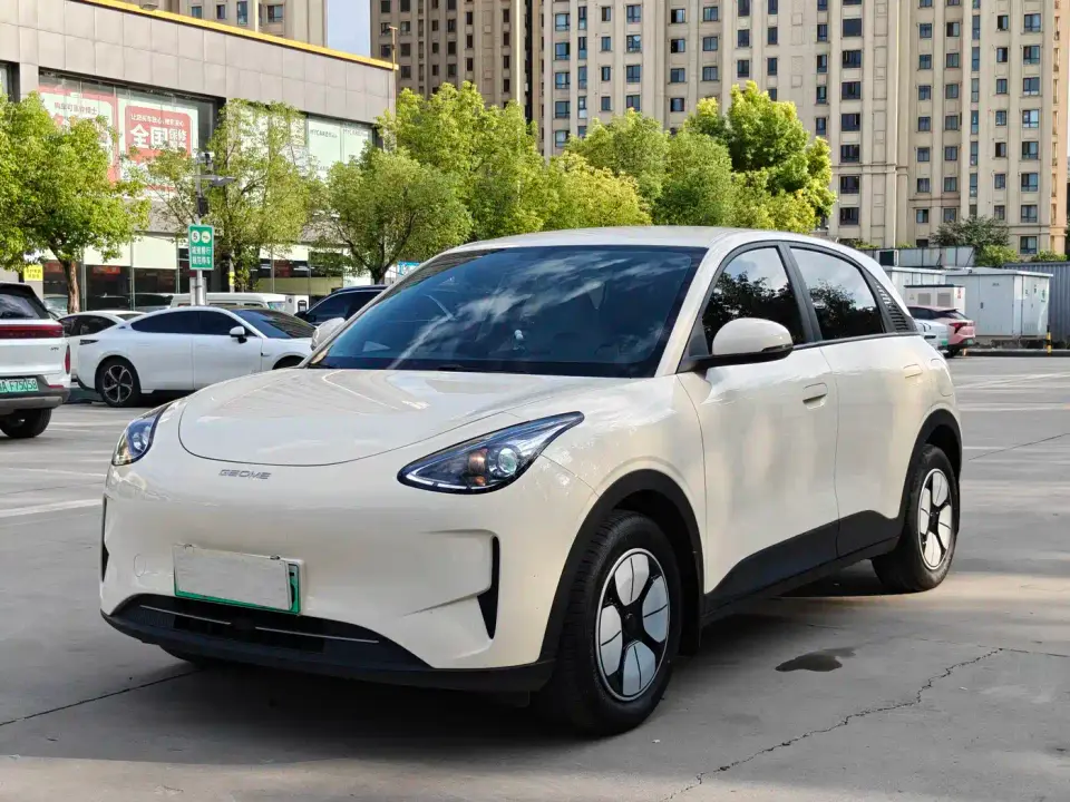 Geely Galaxy Starry Wish 310km Youth Edition 2025