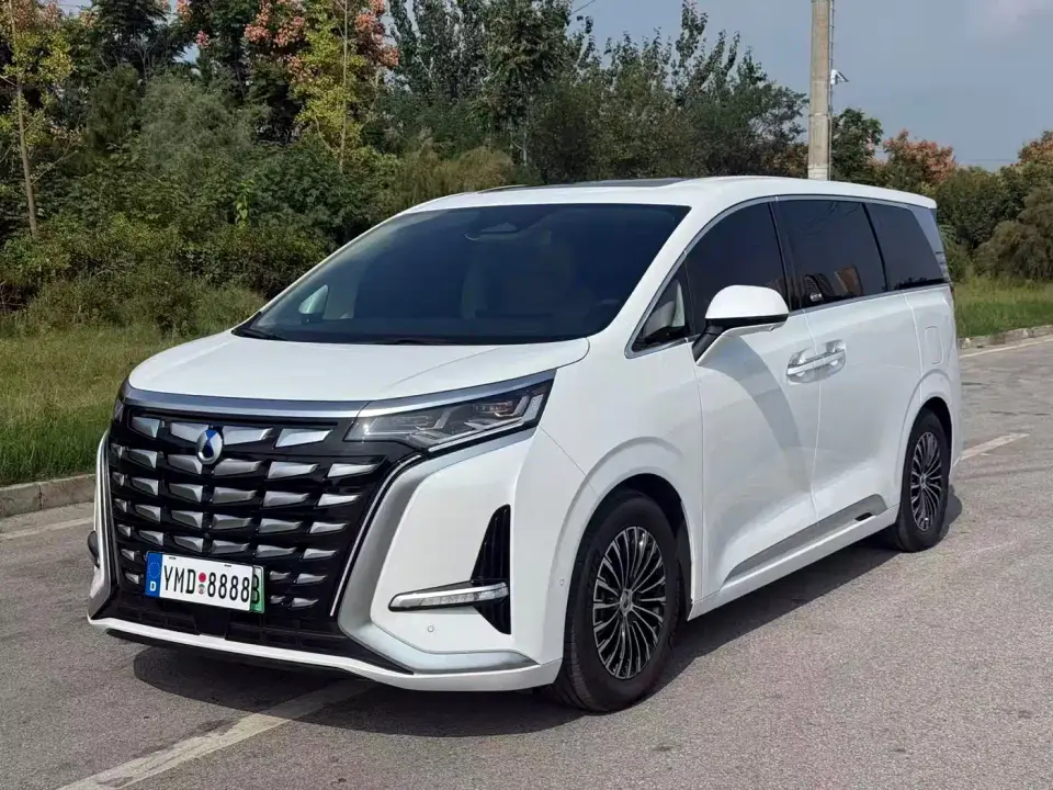 Denza D9 DM-i 980 AWD Flagship 2024