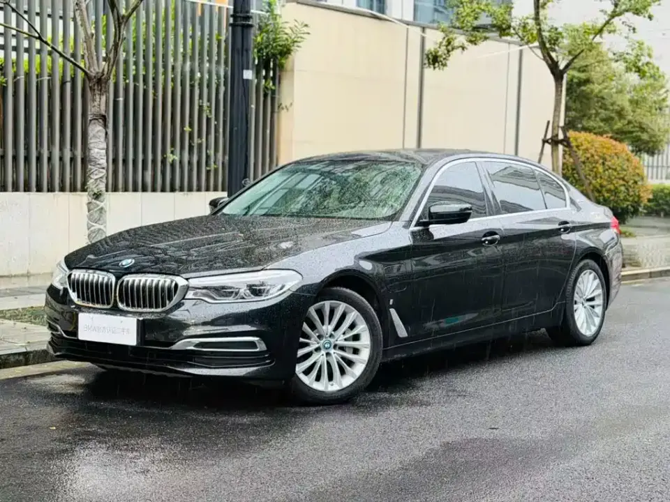 BMW 5 Series New Energy 530Le Pioneer Edition 2019
