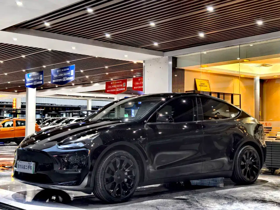 Tesla Model Y Standard Range Rear-Wheel Drive 2021