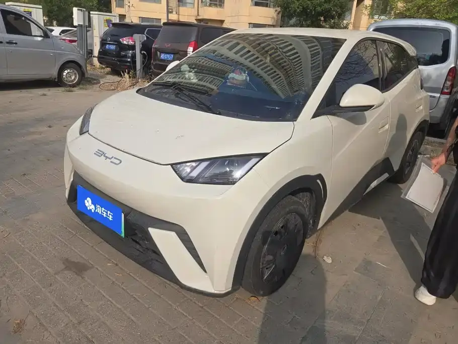 BYD Seagull Vitality Edition 2023