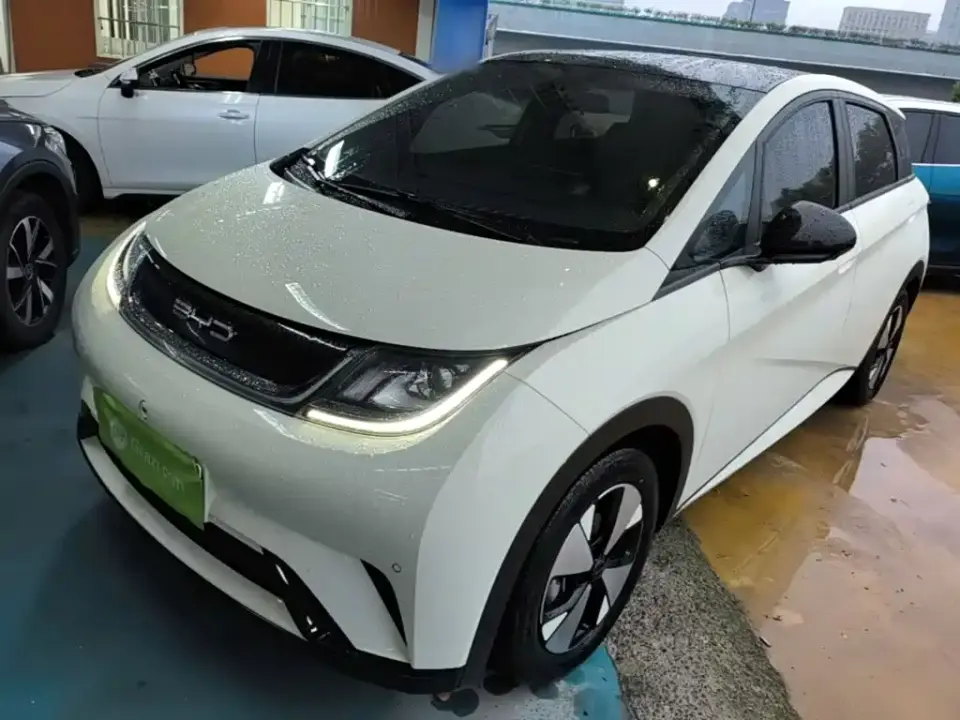BYD Dolphin 420km Fashion Edition 2024