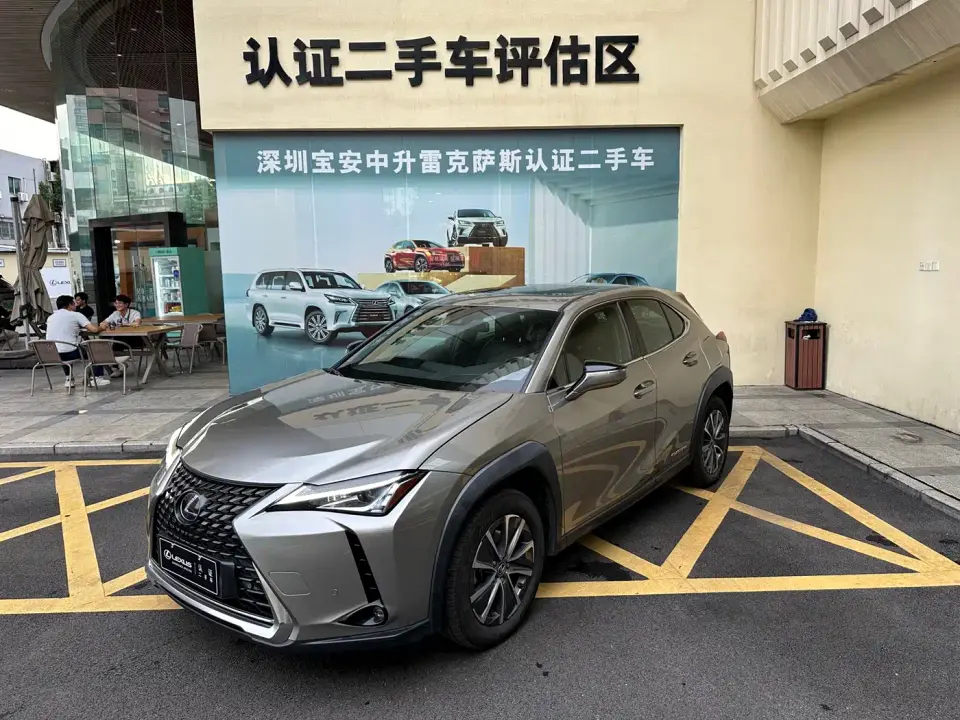 Lexus UX Electric 300e Pure Yue Edition 2021