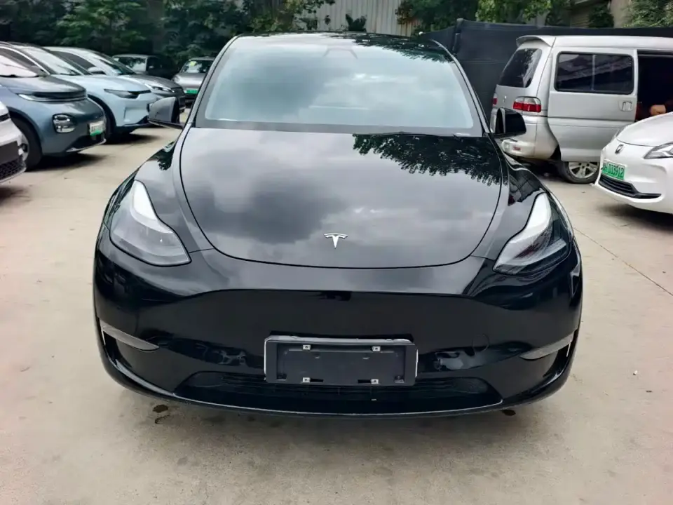 Tesla Model Y Standard Range Rear-Wheel Drive 2021