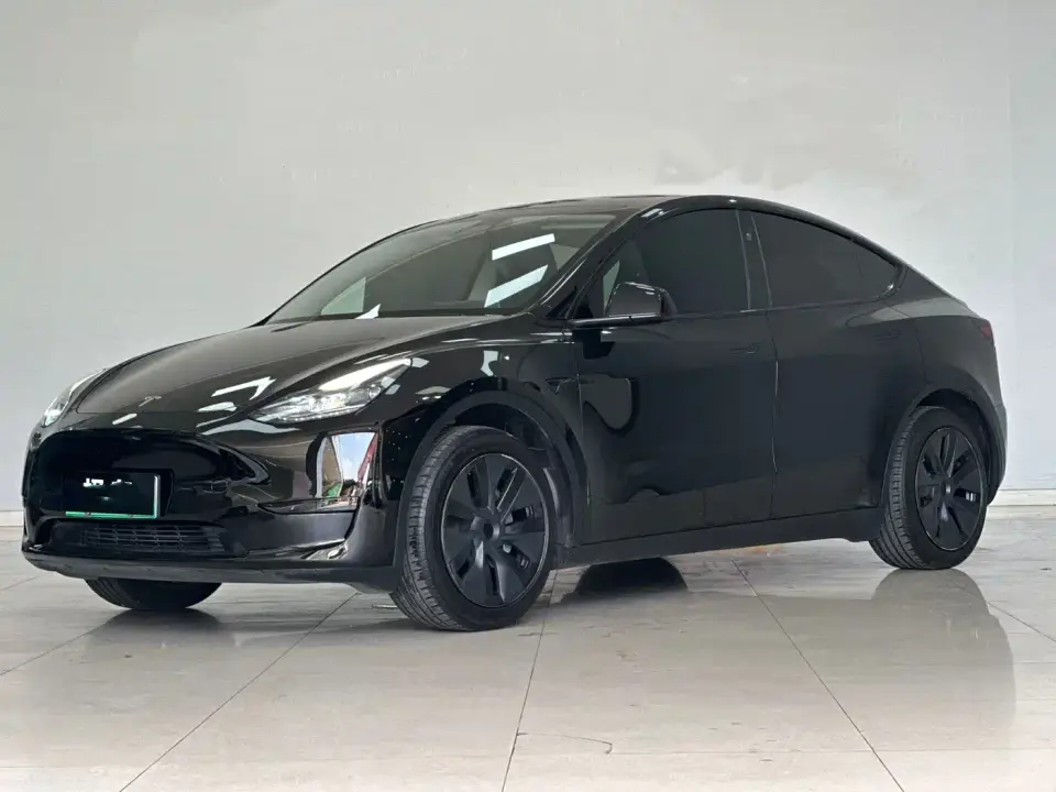 Tesla Model Y Rear-Wheel Drive Version 2024