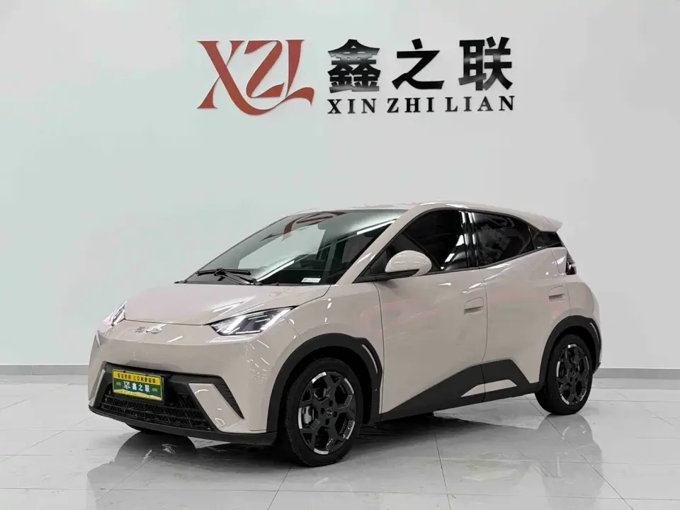 BYD Seagull Glory Edition 305km Freedom Edition 2024