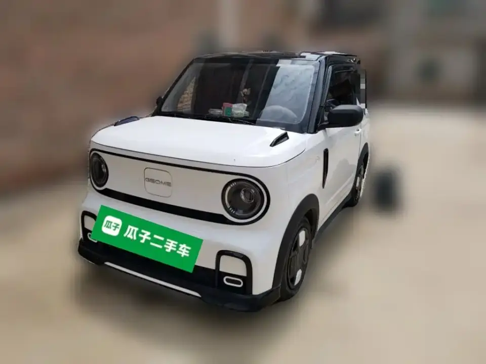 Geely Galaxy Panda Model Year 210km Panda Kart 2024